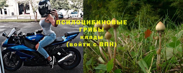 ГАЛЛЮЦИНОГЕННЫЕ ГРИБЫ Заволжск