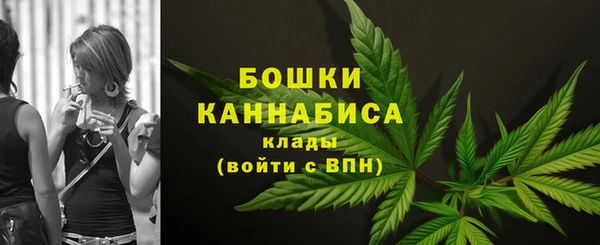 ГАЛЛЮЦИНОГЕННЫЕ ГРИБЫ Заволжск