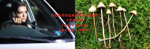 ГАЛЛЮЦИНОГЕННЫЕ ГРИБЫ Заволжск